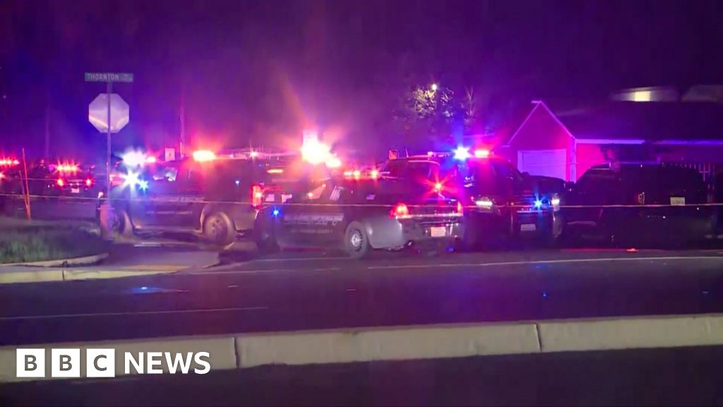 Four killed in shooting at child's birthday party in California